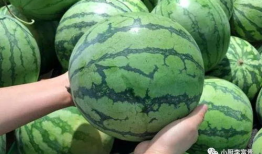 广西吃瓜爆料是真的吗,真相揭秘，是真是假？